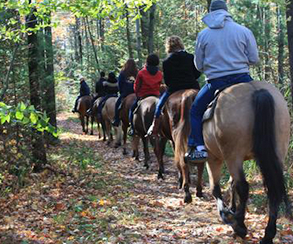 Loading Resort Image...